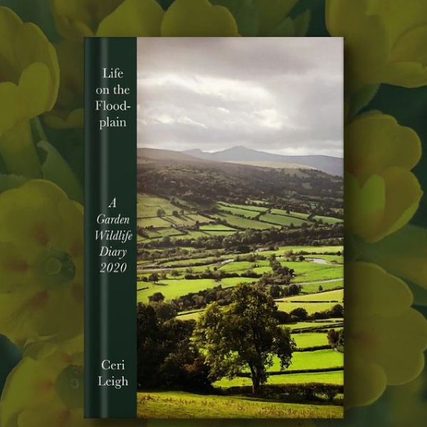 Life on the Floodplain book on cowslips © Ceri Leigh 2022